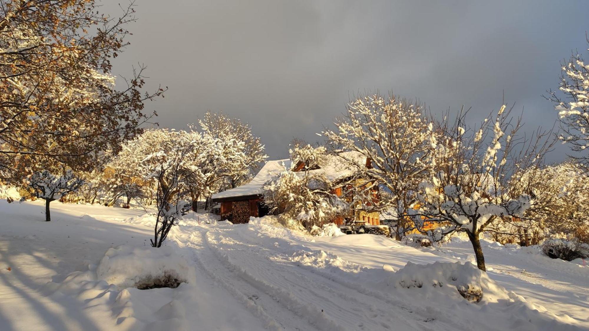 Chalet Mounette Ski Sauna Lac Embrun Puy-Sanieres Εξωτερικό φωτογραφία